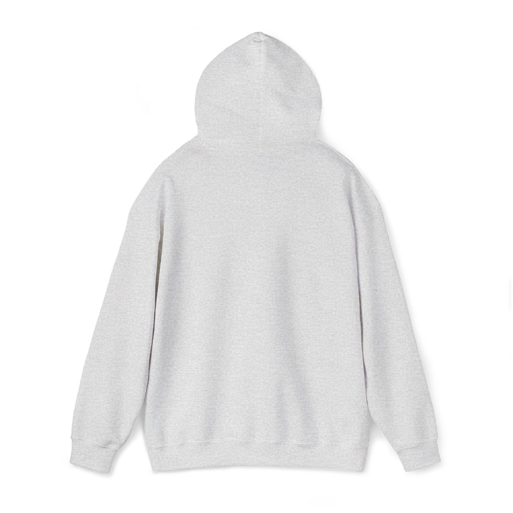 Argentina Hoodie