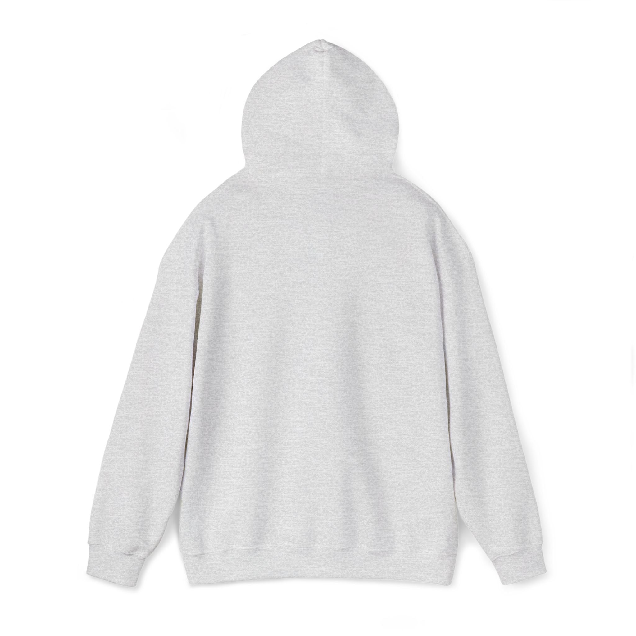 Argentina Hoodie
