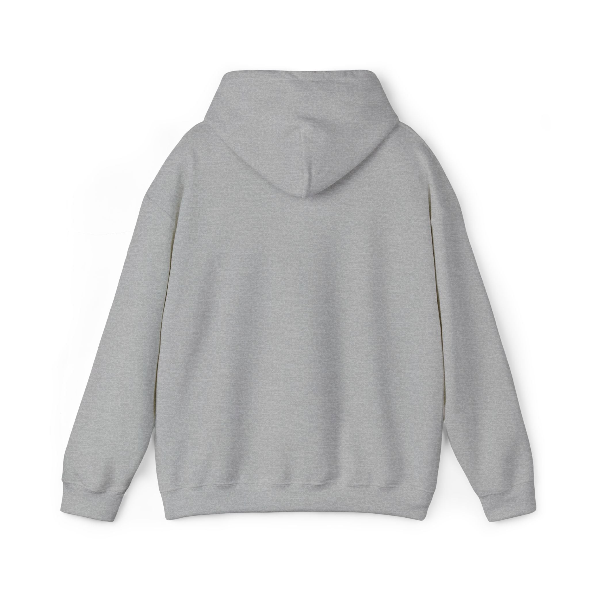 Argentina Hoodie