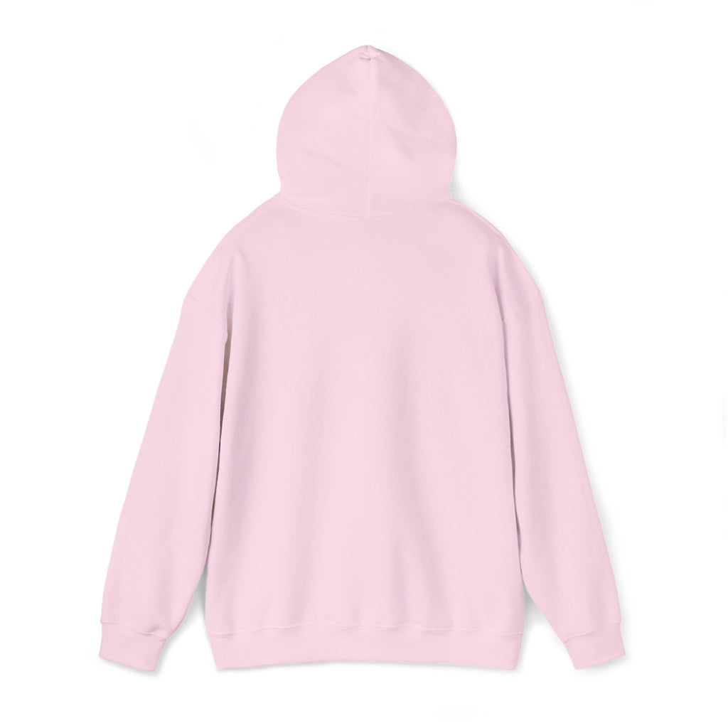 Argentina Hoodie