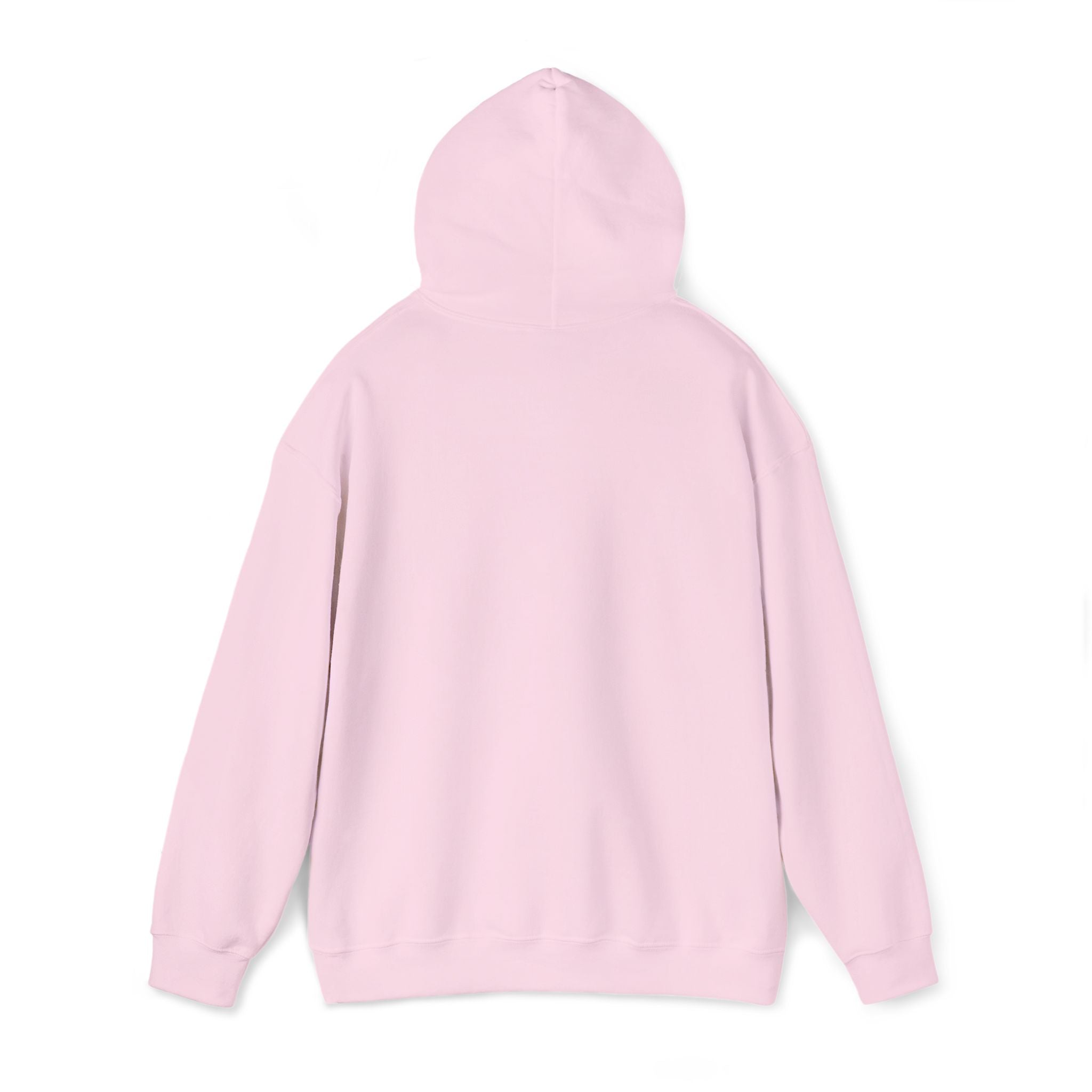 Argentina Hoodie