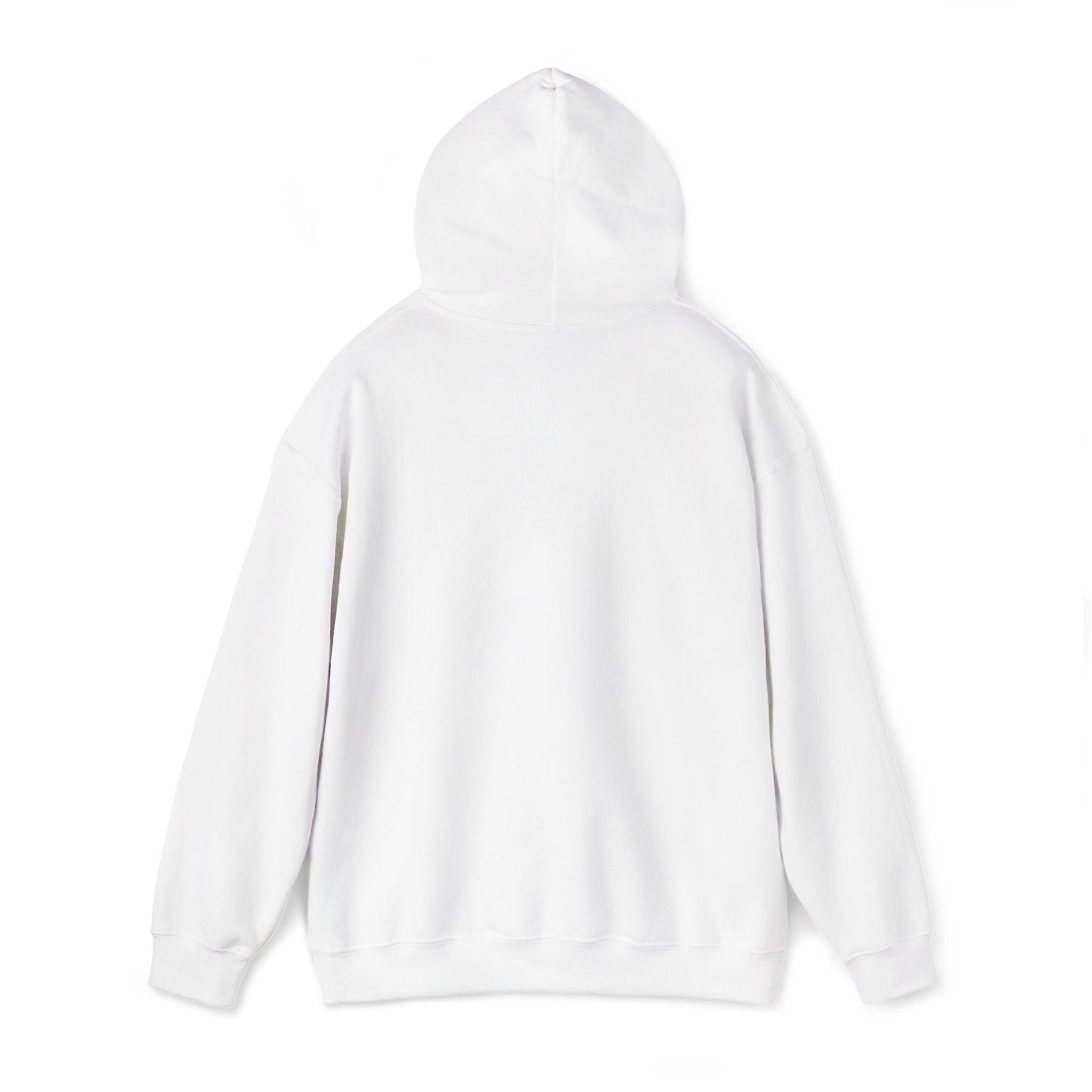 Argentina Hoodie