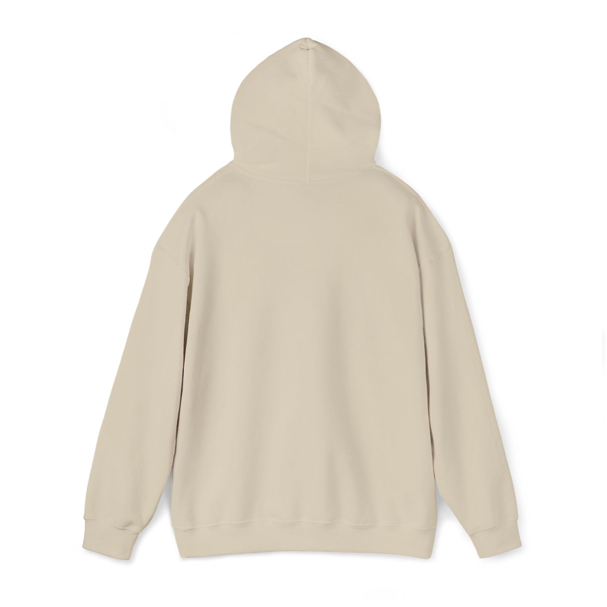 Argentina Hoodie
