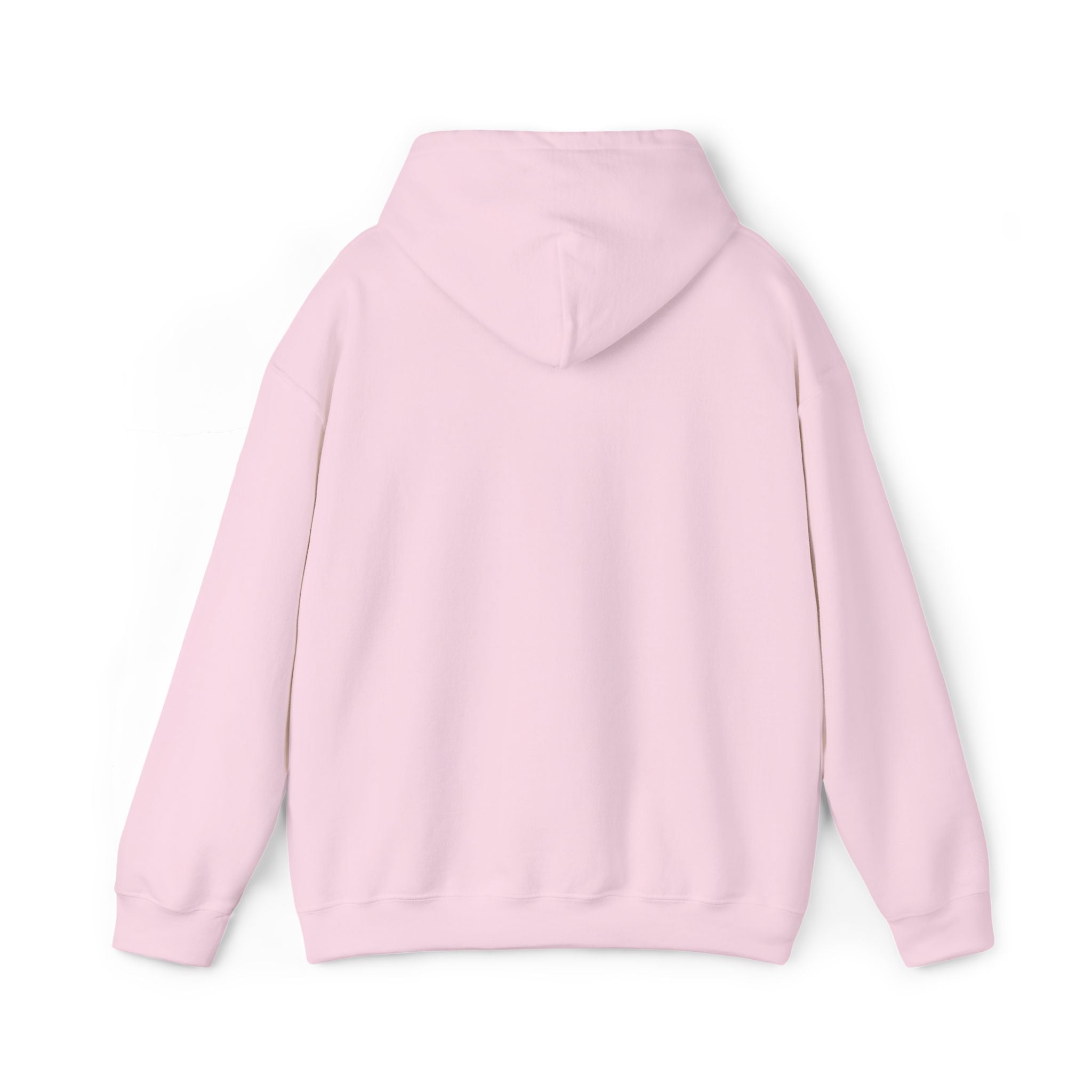 Argentina Hoodie