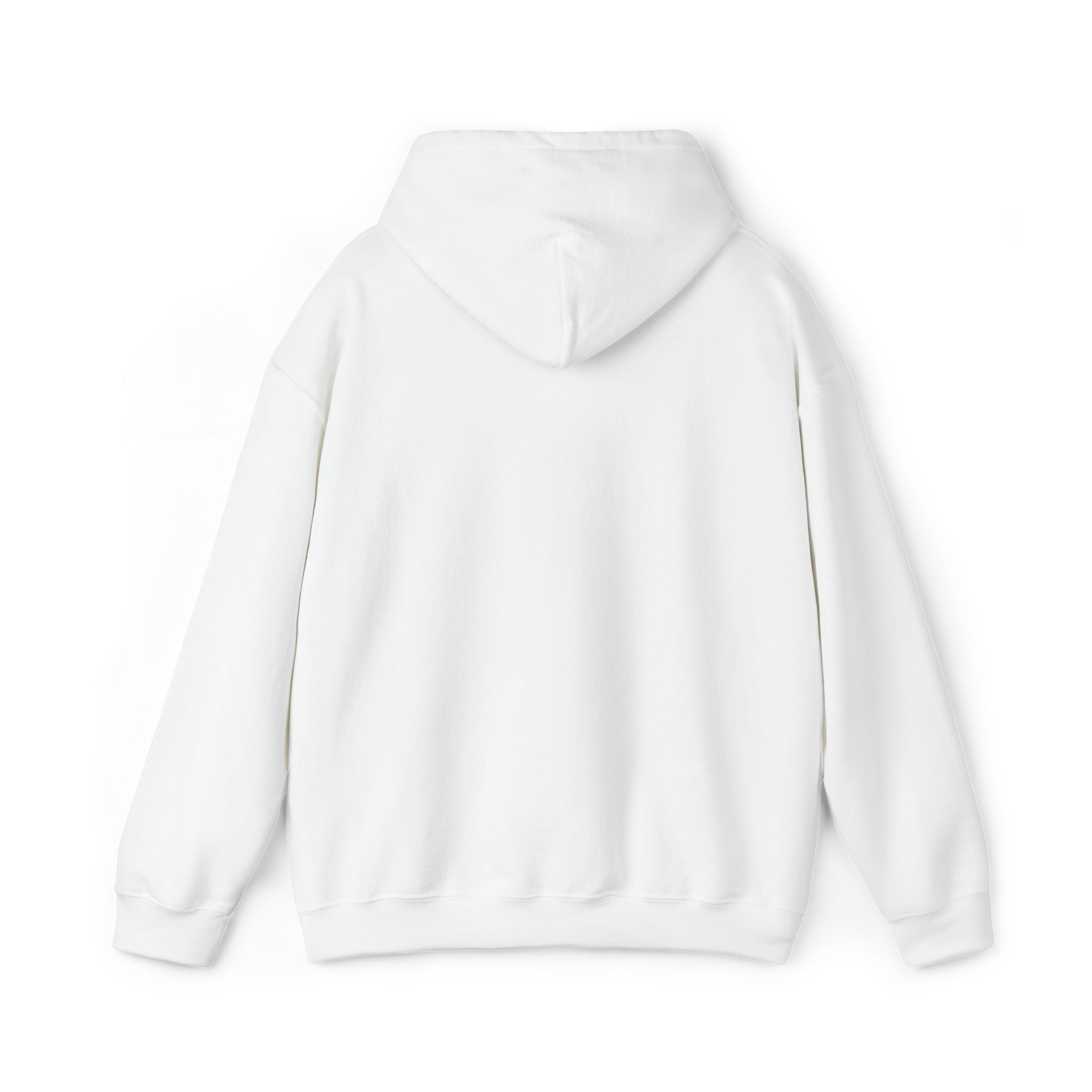 Argentina Hoodie