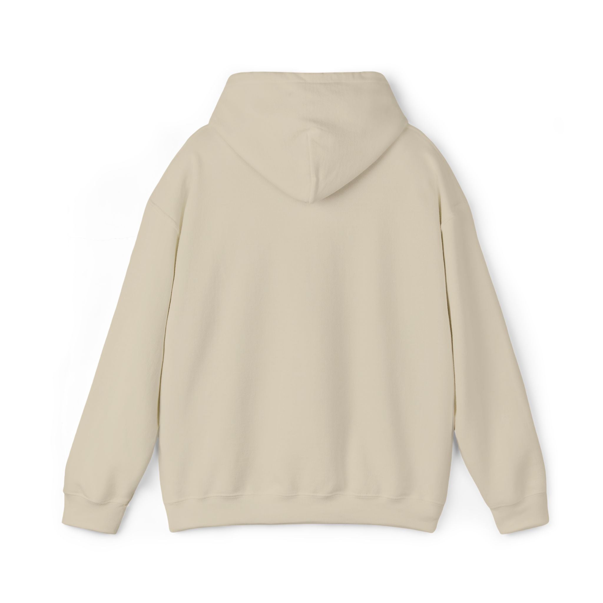 Argentina Hoodie