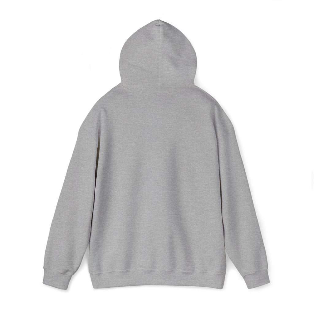 Argentina Hoodie
