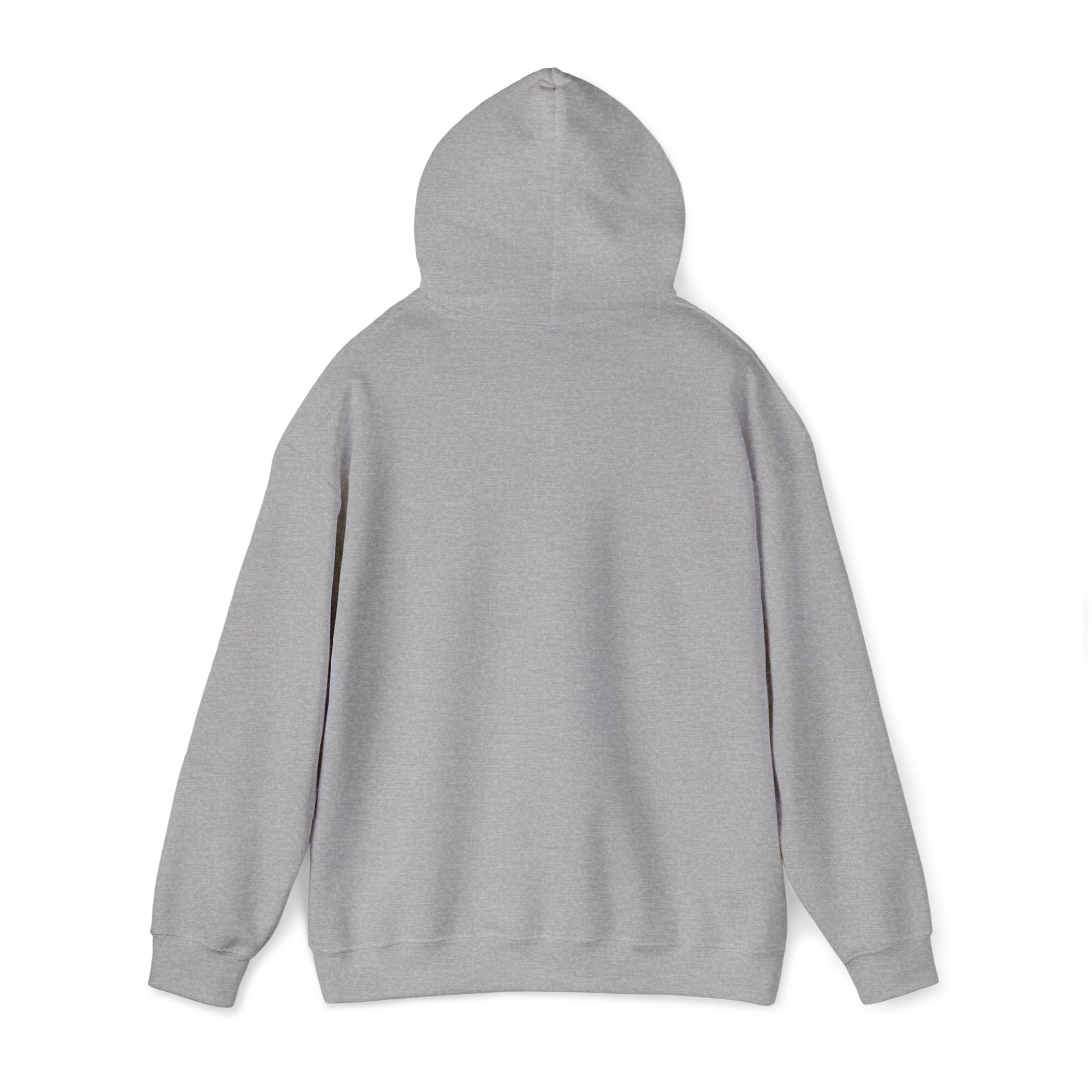 Argentina Hoodie
