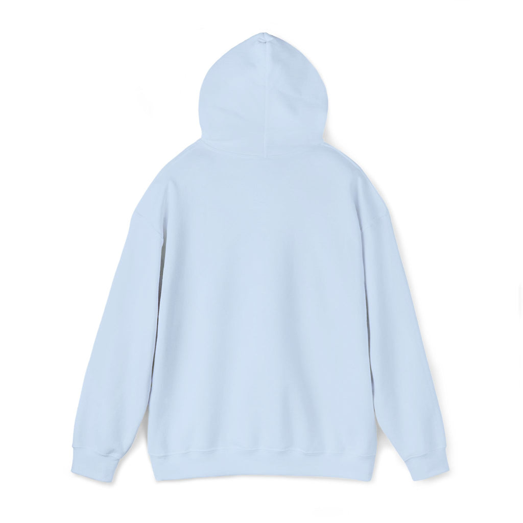 Argentina Hoodie