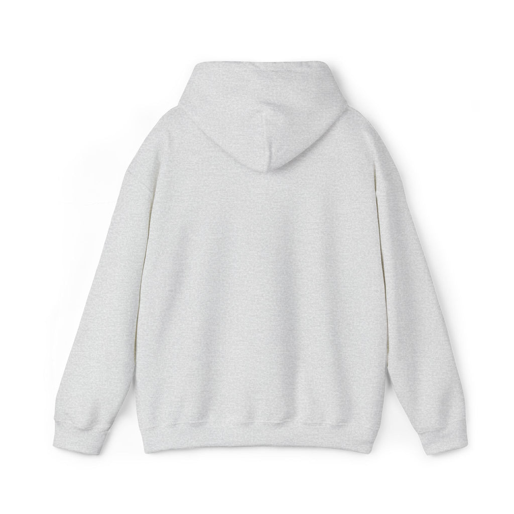 Argentina Hoodie