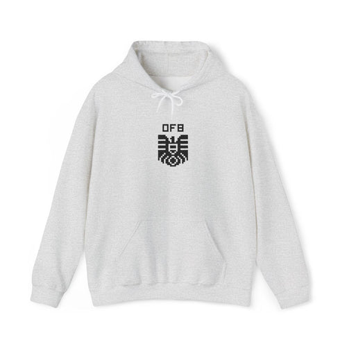 Austria Hoodie Ash